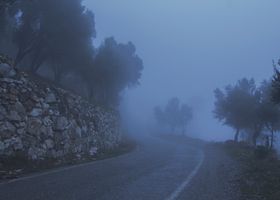 Drift Almanac issue cover photograph